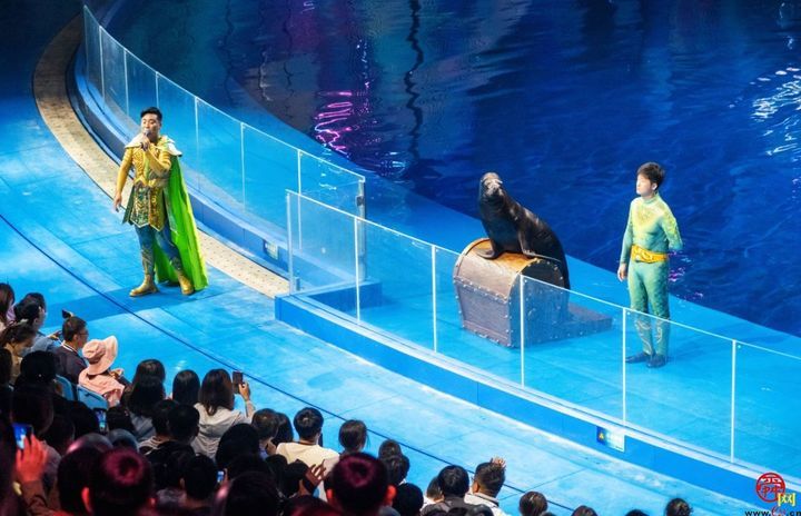 今年教师节济南融创海世界迎来万名老师免费游玩