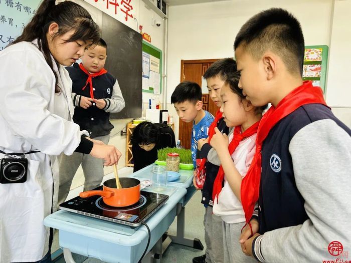 邂逅“小麦芽”，甜蜜“麦芽糖”