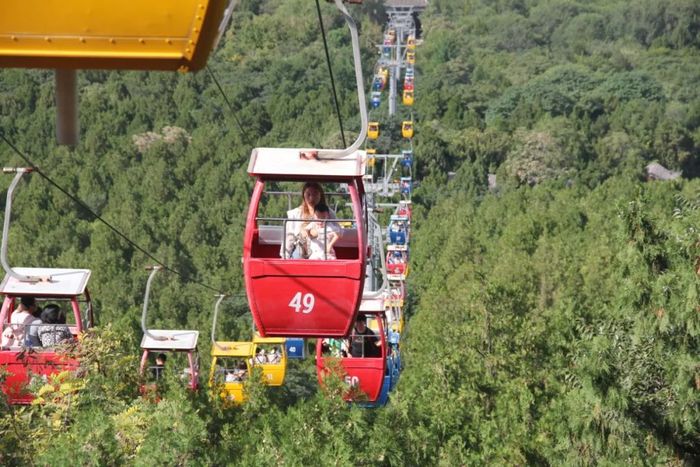 人气十足！10月1日千佛山、动物园等公园景区迎来假期首个客流高峰
