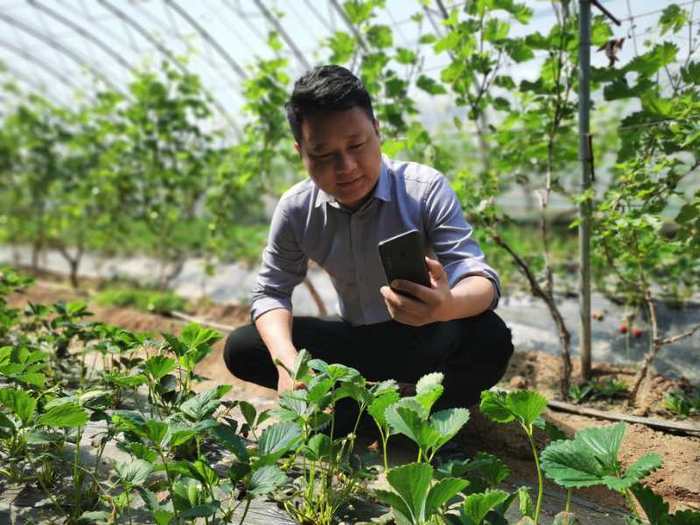 助力脱贫！济南驻村“第一书记”于汛网络直播帮村民卖草莓