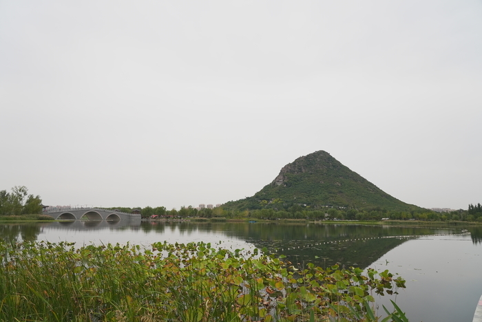 抓住假期的尾巴 这个免费的湿地公园值得你来打卡