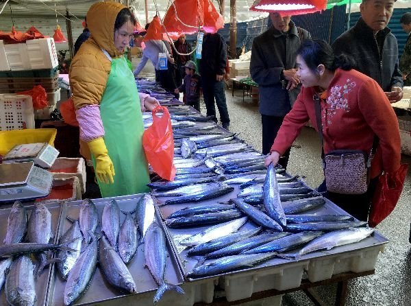 3天后封海！没海鲜不吃饭的青岛人咋办？凉拌！