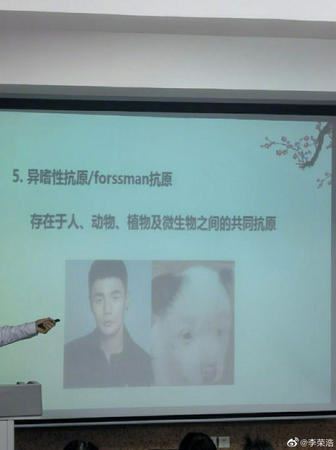 李荣浩撞脸狗狗图片被当作生物课件 本尊幽默回应