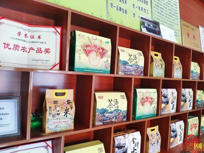 半山腰的“宝贝谷” 山沟飞出“金粟粟” 泉水人家的他真不一般…