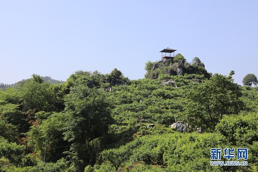 沿着高速看中国｜一条乡村振兴“路”