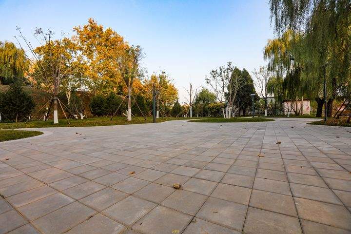 黄河岸边因地制宜强化游憩功能，新增“下沉式”生态公园