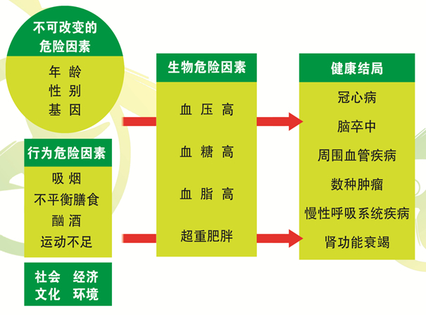 济南疾控提醒市民：掌握“三减三健”核心信息，解锁正确的健康生活方式