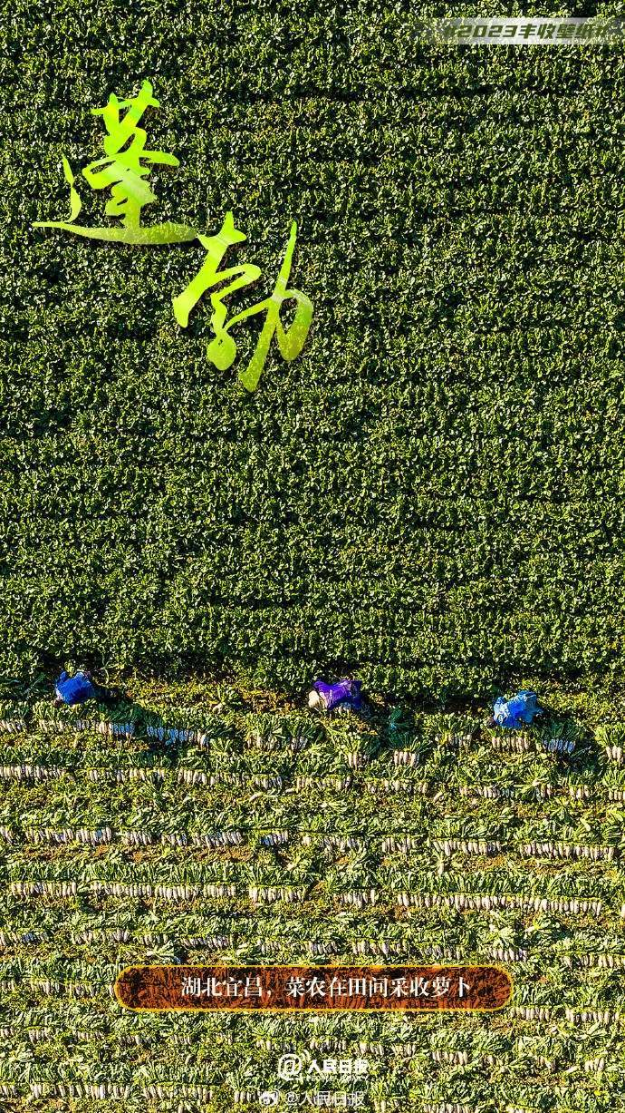 俯瞰丰收大地，美成了壁纸