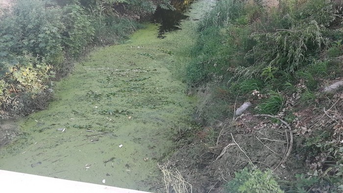 【啄木鸟在行动】槐荫区美里湖街道邱庄排水沟污染严重