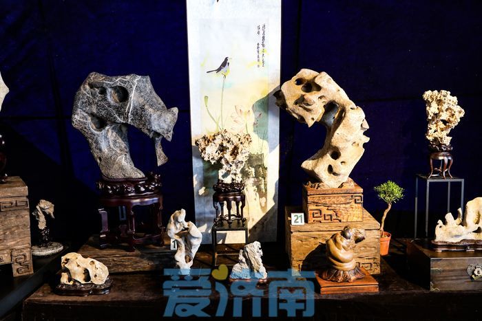 中国·济南2023秋季石博会在济南开幕