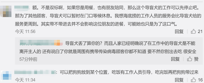 导盲犬进海底涝是怎么回事?终于真相了,原来是这样!