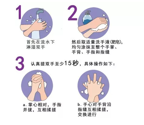 洗手液、免洗洗手液、消毒湿巾哪个更杀菌？权威测试结果来了
