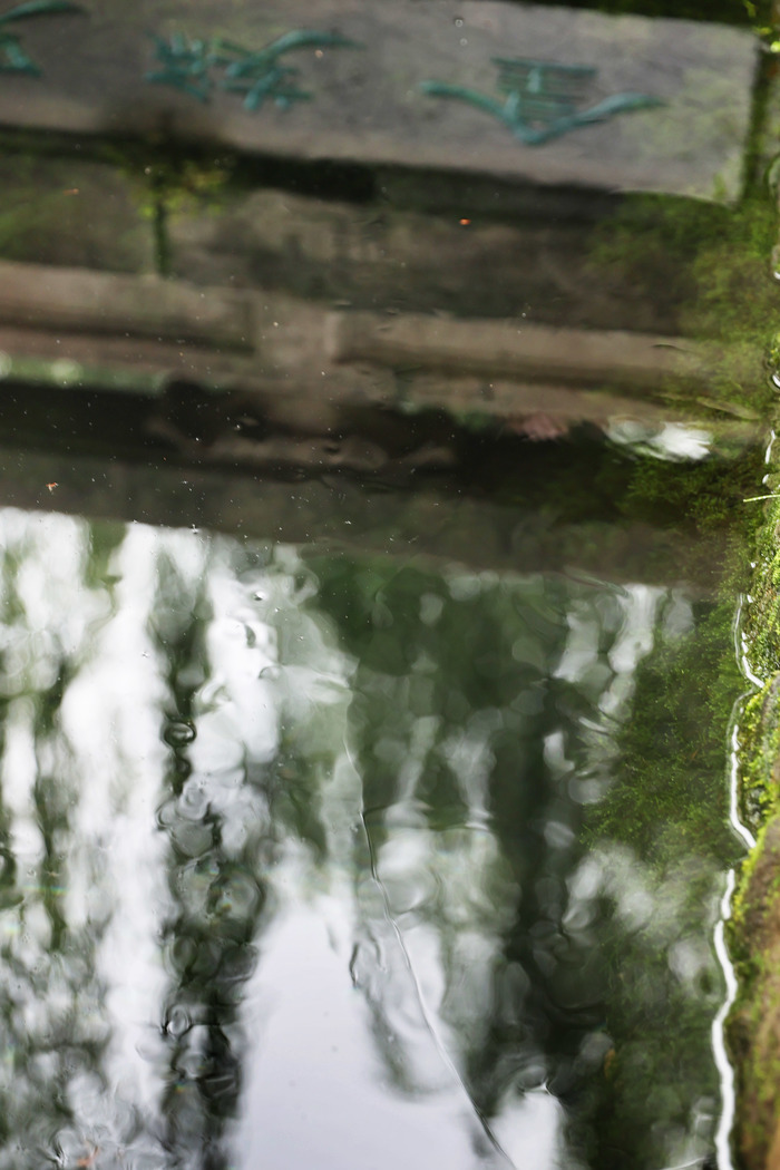 泉水奇观，难得一见！济南金线泉“金线奇观”再现