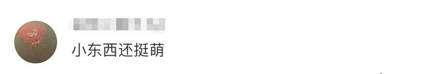 老鼠太胖被卡墙洞不能自拔，同学以为是玩偶 网友：小东西还挺萌