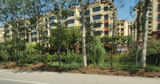 【啄木鸟在行动】商河316省道部分路段路边施工渣土裸露