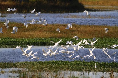 中国生态文明论坛年会缘何“花落”济南？