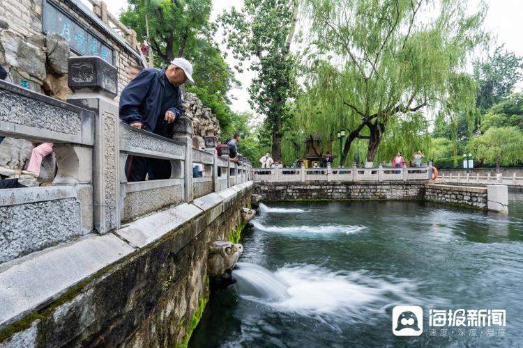 雨后济南黑虎泉撒欢喷 水位两天上涨7厘米