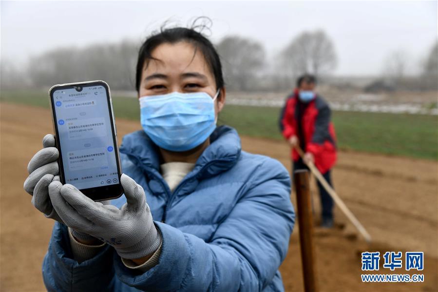 别样的春耕——来自农业大省山东的春耕备耕见闻