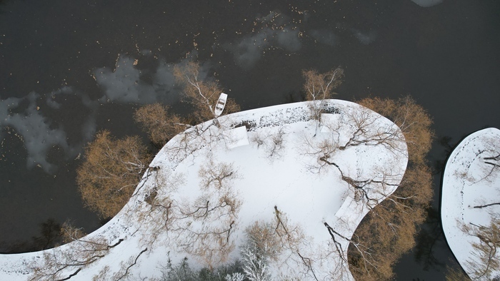 降雪如约而至 雪落大地景色如画