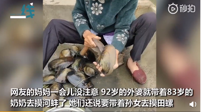 神仙友谊!92岁外婆带83岁奶奶摸河蚌 