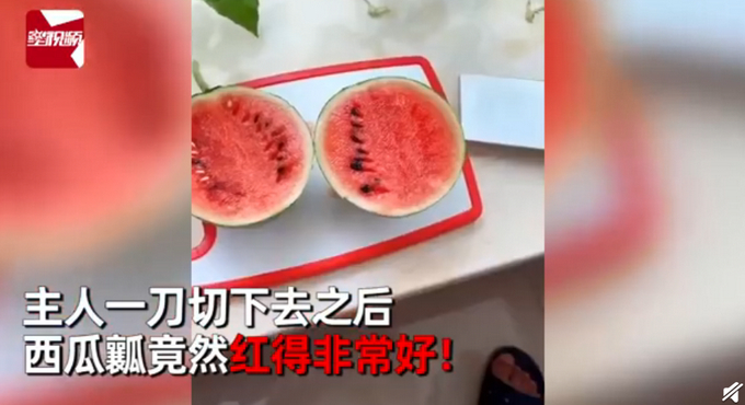 男子飘窗种西瓜3个月后长出巴掌大，切开一看瞬间被惊艳到