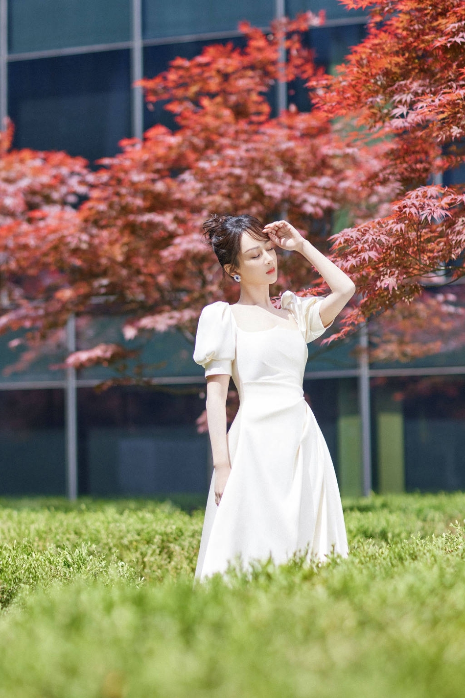 杨紫穿白裙置身红叶中 低头浅笑温婉可人