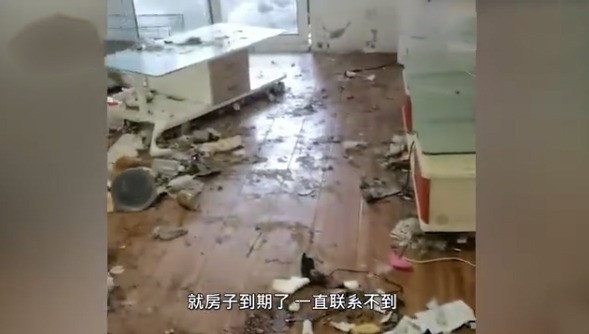 愤怒！南京90后情侣退房后把边牧遗弃在出租屋 网友：放入黑名单！永远禁止收养宠物！