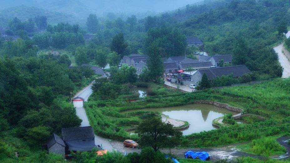 【观察】一道沟,一副担;一畦稻,一幅画