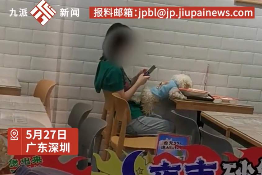 女子饭店内让宠物狗用公共餐具吃饭，被说“缺德”冤不冤？