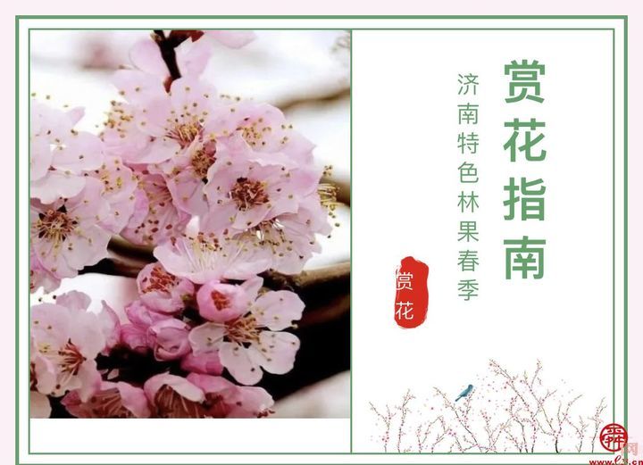 济南市特色林果花海旅游季暨公园景区花朝节开幕