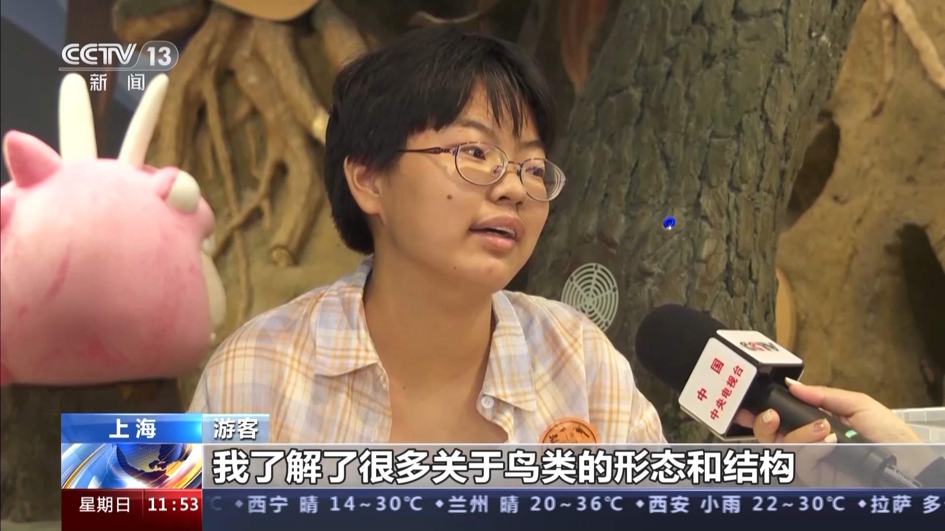 在互动中探索自然 这家热门博物馆有哪些特别的馆藏？