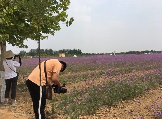 文博会巡礼走进商河：深挖特色资源 激发文化产业发展新活力