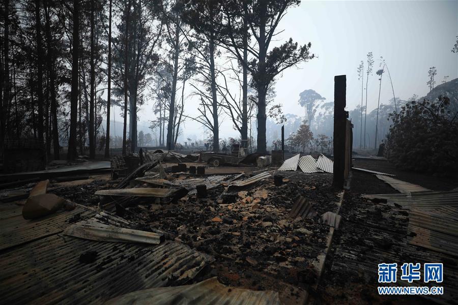 澳大利亚：探访林火过后的村庄