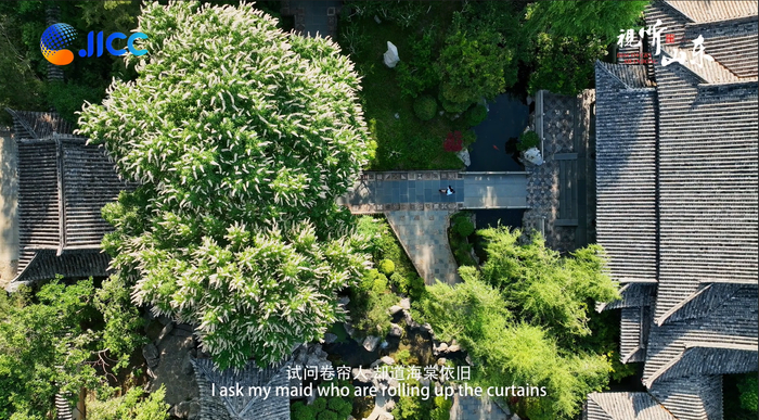 李清照：往事尘烟恍如梦，且以诗酒话人生