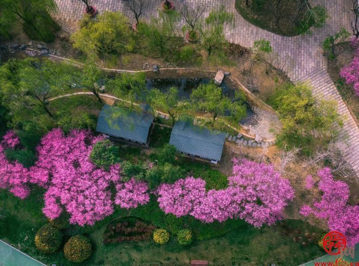 建成8处游园，打造6.53公里绿道……槐荫晒出“绿色”幸福账单