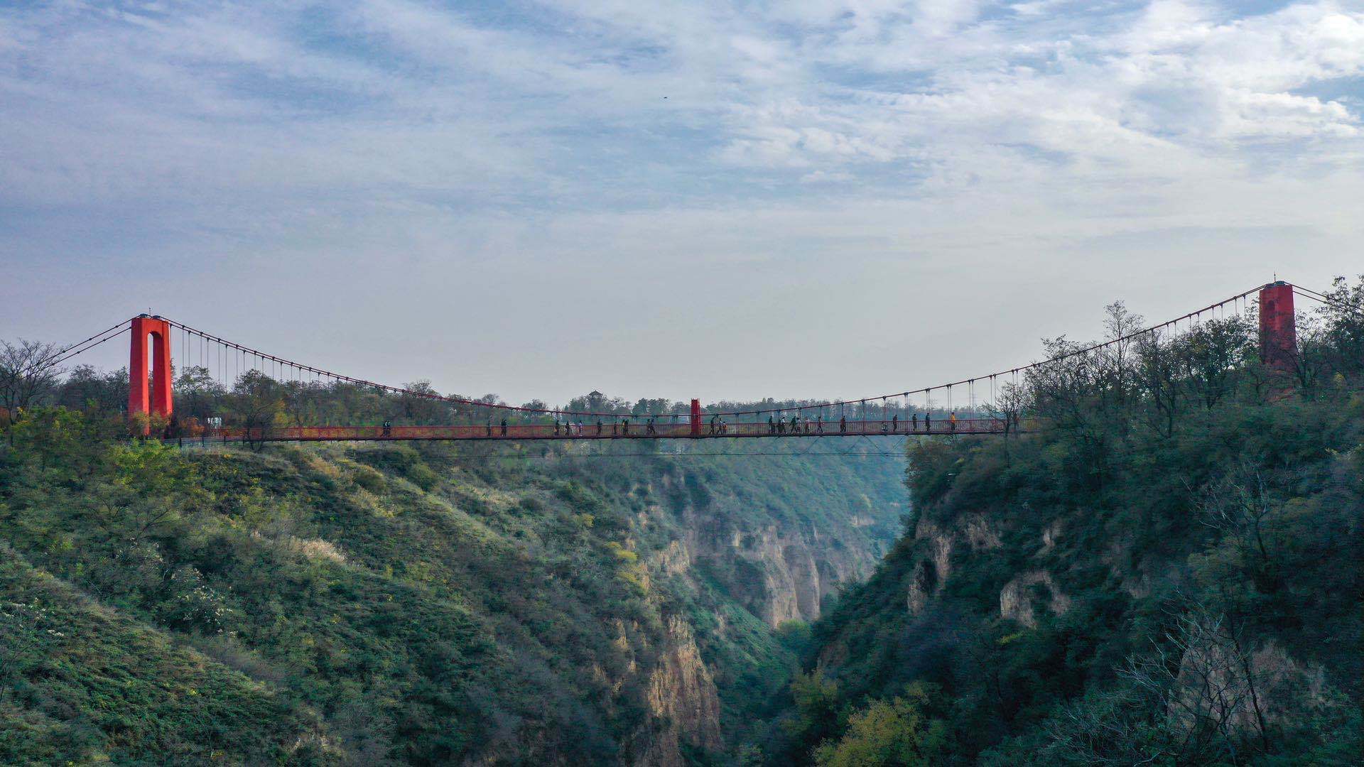 文化脱贫在行动·陕西篇 小柿子成脱贫致富大宝藏