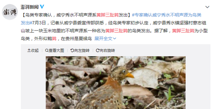 【真相大白】贵州山中龙吟为鸟类发出声源 龙叫？虎叫？真相来了！