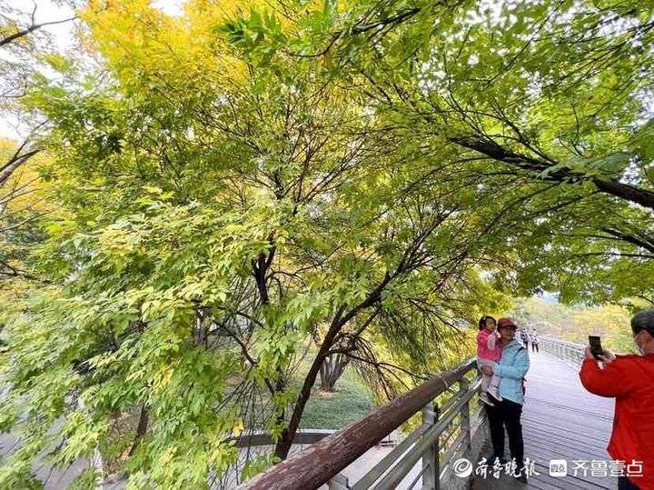 深秋时节泉城公园，色彩斑斓