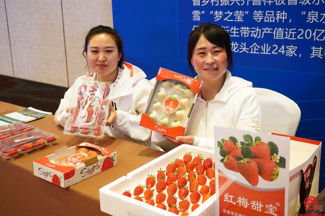 济南市盒马村授牌仪式暨农产品产业对接会成功举办