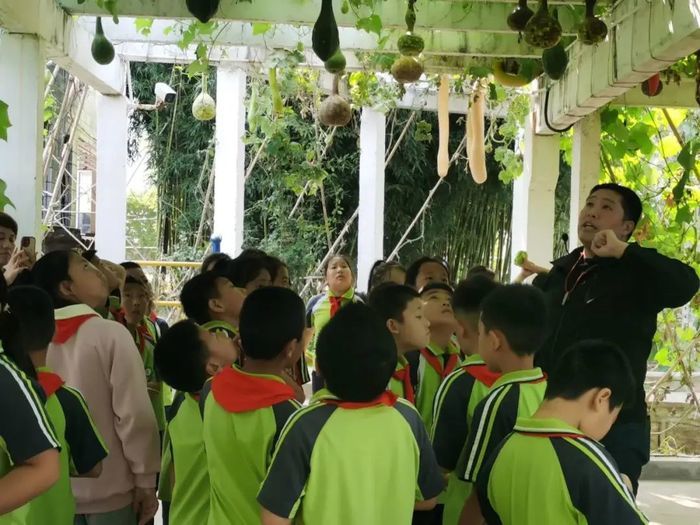 这场活动让桑梓回民小学学生学会珍惜粮食