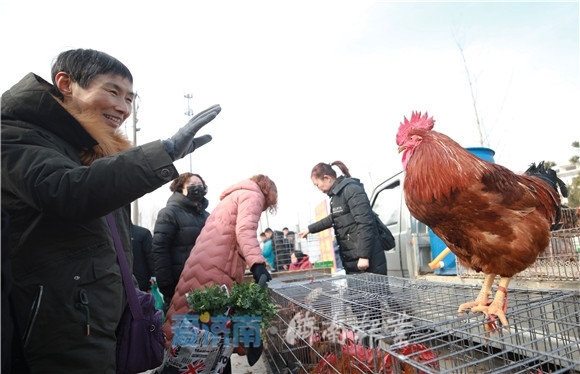 【网络述年】赶年集 品年味 过年就要这个热闹劲儿！