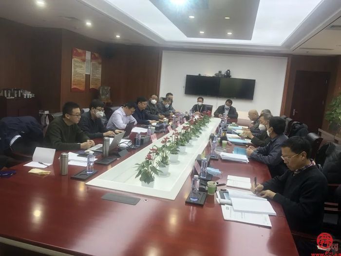 山东省地矿局一院编制岩盐矿详查报告通过评审备案