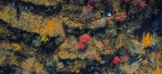 【飞阅泉城】沉醉于格桑花海 港沟蟠龙秋景美不胜收