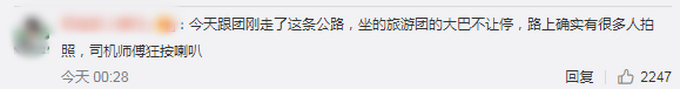 拿生命拍照！青海网红公路因拍照发生8起交通事故