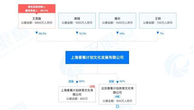 王思聪名下公司涉嫌弄虚作假 到底发生了什么？