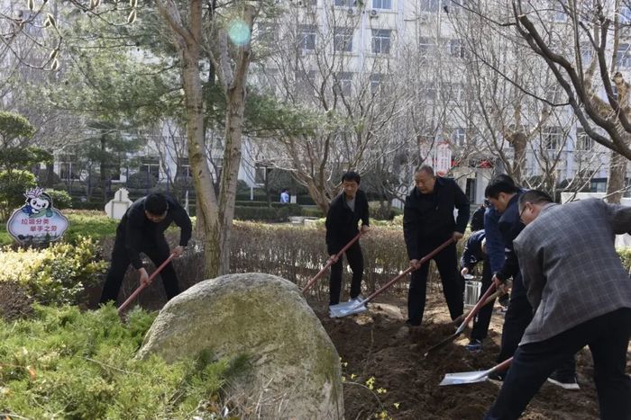 播撒梦想厚植希望，西营街道初级中学举办植树节活动