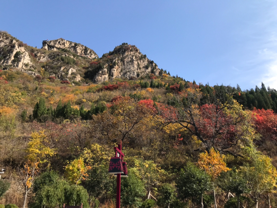 秋日赏枫新去处 济南青铜山大峡谷风景区