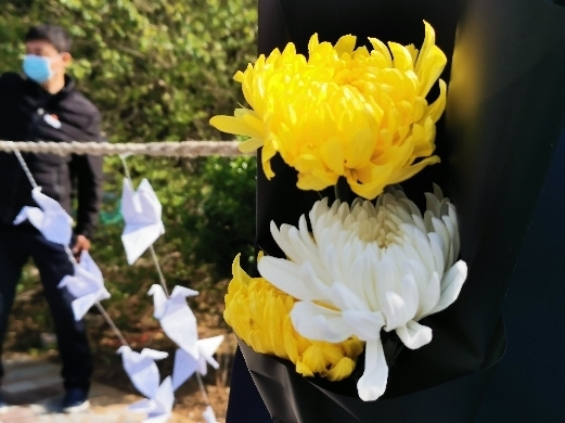 别样清明“感怀依然” 济南玉函山安息园举行共祭仪式