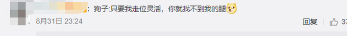 狗狗怕打针双腿灵活走位，还向主人请求支援，网友：像极了怕打针的我