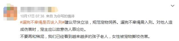 遛狗未拴绳致使宠物被撞死亡，谁来负责？